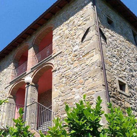 Bed and Breakfast La Collina Dei Franchi Camporgiano Exterior foto